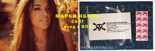 стаф Волосово
