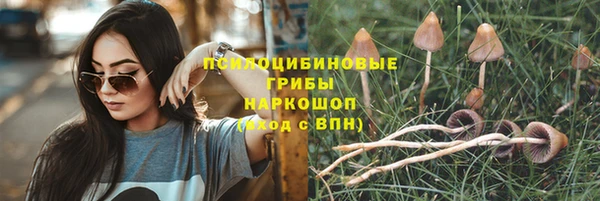 стаф Волосово