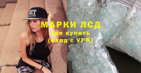 стаф Волосово